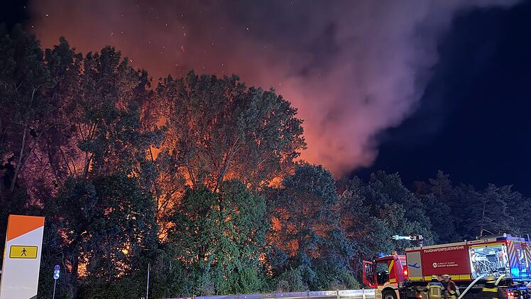 Waldbrand in N&uuml;rnberg