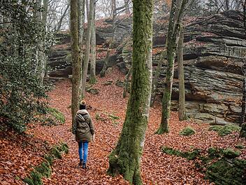 Nahezu 10 Grad und teils Regen: Das Wetter in Franken bis nächstes Wochenende