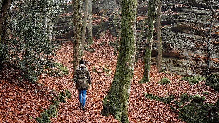 Nahezu 10 Grad und teils Regen: Das Wetter in Franken bis nächstes Wochenende