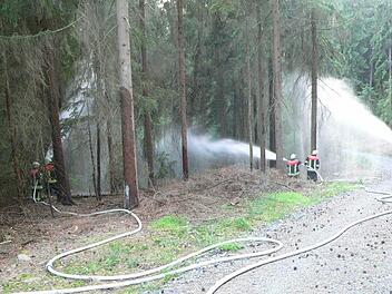 Wasser marsch! Die Kulmbacher Wehrleute testeten die Wasserversorgung im Fall eines Waldbrandes. Foto: Michael Weich