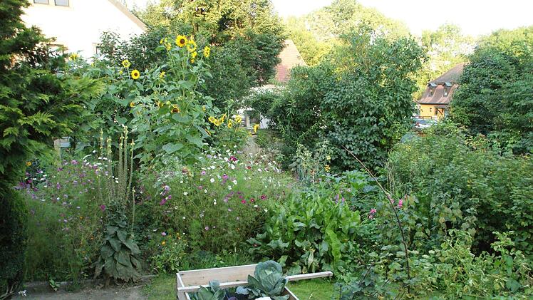 Blumen und Gemüse haben ihr Recht im Nutzgarten von Familie Lindner, der von den Wettbewerbsteilnehmern interessiert begutachtet wurde. Foto: Sabine Weinbeer