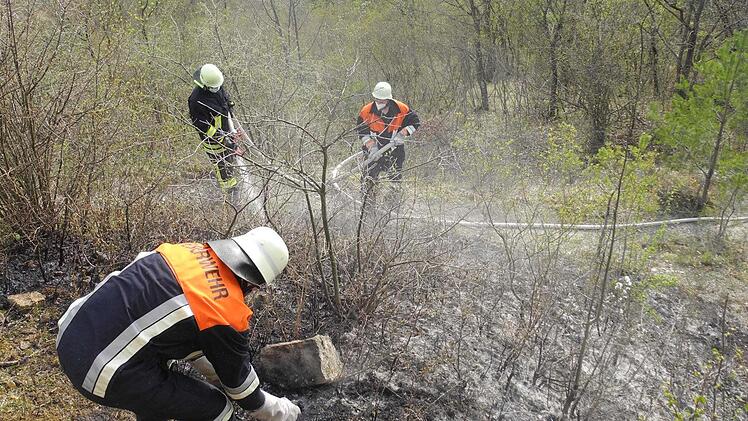 Zehn Quadratmeter Buschwerk brannten nieder.  Foto: Peter Seufert