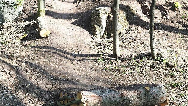 Vom Felsplateau auf dem Buchberg rasant zu einem Sprung: Mountainbiker haben dort auf fremden Grundst&uuml;cken illegal einen Parcours gebaut, der nun wieder verschwinden muss.  Foto: Christoph Winter