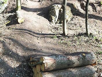 Vom Felsplateau auf dem Buchberg rasant zu einem Sprung: Mountainbiker haben dort auf fremden Grundst&uuml;cken illegal einen Parcours gebaut, der nun wieder verschwinden muss.  Foto: Christoph Winter