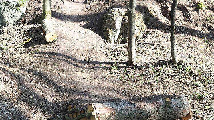 Vom Felsplateau auf dem Buchberg rasant zu einem Sprung: Mountainbiker haben dort auf fremden Grundst&uuml;cken illegal einen Parcours gebaut, der nun wieder verschwinden muss.  Foto: Christoph Winter