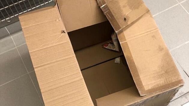 Tierheim Feucht: Entsetzen &uuml;ber grausamen Fund in Karton