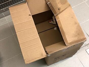 Tierheim Feucht: Entsetzen über grausamen Fund in Karton