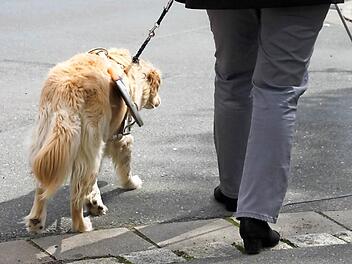 Bad Staffelstein wimmelt nur so vor Stolperfallen und Gefahren. Da n&uuml;tzt auch der beste Blindenhund wenig.  Fotos: Sarah Zubel