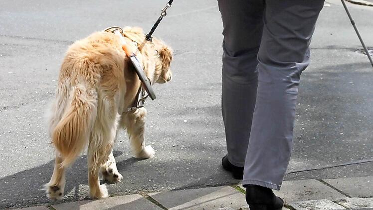 Bad Staffelstein wimmelt nur so vor Stolperfallen und Gefahren. Da n&uuml;tzt auch der beste Blindenhund wenig.  Fotos: Sarah Zubel