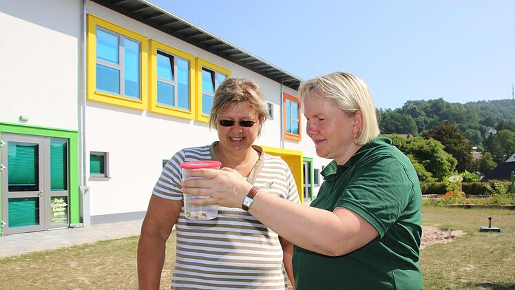 Daniela Seifert-Schneider, die stellvertretende Leiterin des Kindergarten (links) und Stadtförsterin Carmen Hombach  begutachten die Raupen, die vor kurzem unter der Eiche auf dem Kindergartengelände entdeckt worden waren.Foto: Katrin Geyer