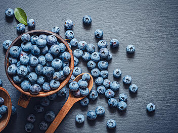 Heidelbeeren, Schwarzbeeren, Blaubeeren - viele Namen für eine Beere