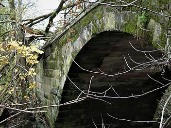 Die Sicherung der historischen Baille-Maille-Brücke für Fußgänger und Radfahrer bereitet der Gemeinde Himmelkron nach wie vor große Probleme. Jetzt soll ein Ingenieurbüro Kosten ermitteln. In der Zwischenzeit verursachte ein umgestürzter Baum am Mainufer einen weiteren Schaden am Geländer.  Foto: Werner Reißaus