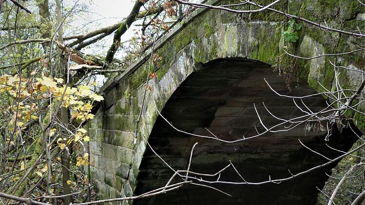 Die Sicherung der historischen Baille-Maille-Brücke für Fußgänger und Radfahrer bereitet der Gemeinde Himmelkron nach wie vor große Probleme. Jetzt soll ein Ingenieurbüro Kosten ermitteln. In der Zwischenzeit verursachte ein umgestürzter Baum am Mainufer einen weiteren Schaden am Geländer.  Foto: Werner Reißaus