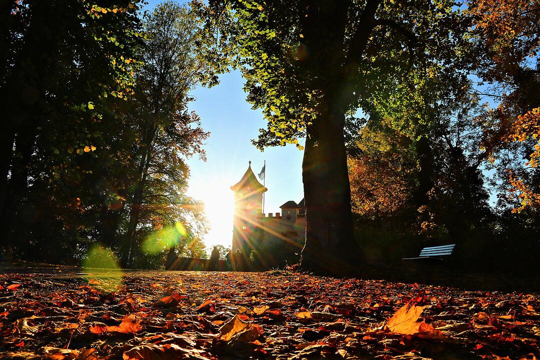 Herbst bei Schloss Greifenstein