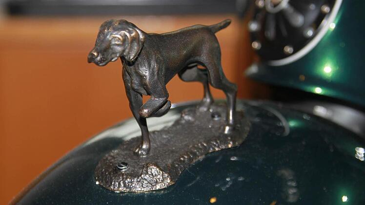 Vorstehhund auf dem Schutzblech