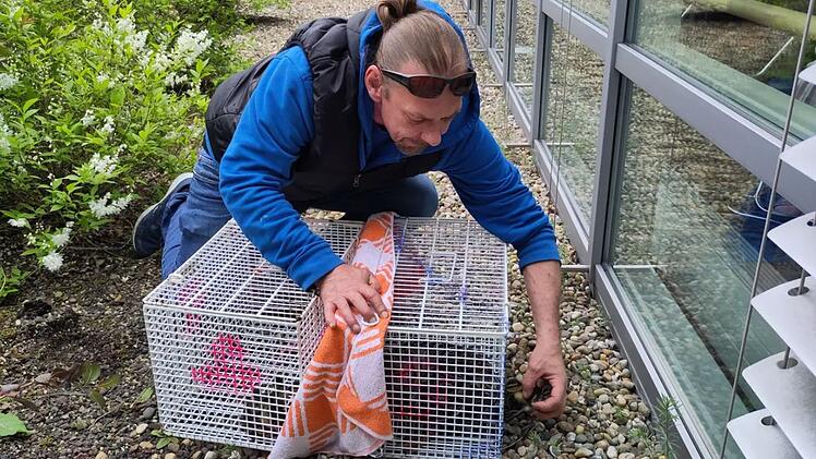 Tierheim Nürnberg hilft aus - "ungewöhnlicher Rettungsdienst" am Klinikum