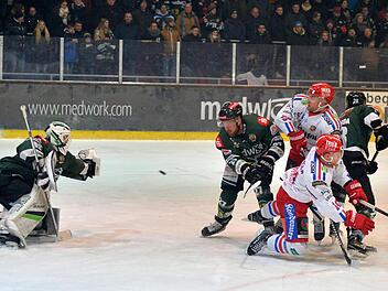 Philipp Schnierstein (li.) unterstützte seine Alligators mit tollen Paraden im Spiel gegen Selb. Foto: Picturedreams