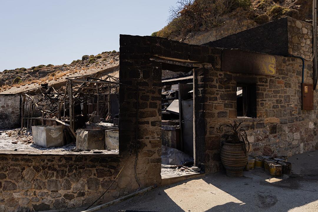 Waldbr&auml;nde auf Kreta