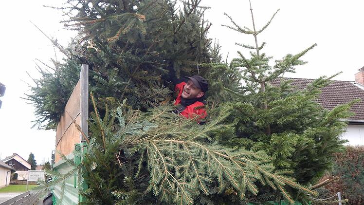 Sah den Weg vor lauter Bäumen nicht mehr: Florian Utz von der JU Adelsdorf. Foto: Mona Lisa Eigenfeld