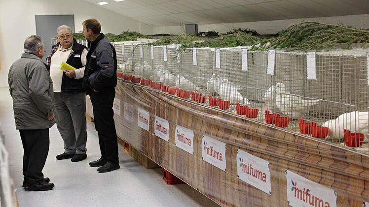 Blick in den Ausstellungsraum