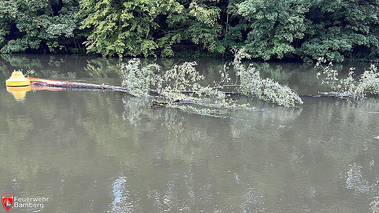 Bamberg: Feuerwehreinsatz oberhalb der Hainbadestelle - Einsatzkräfte müssen Baum sichern
