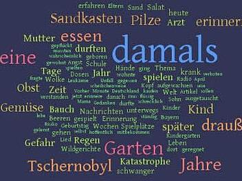Die Wortwolke zeigt, welche Begriffe beim Thema Tschernobyl in unserer Facebook-Community besonders häufig verwendet wurden.Tagcloud: WordItOut