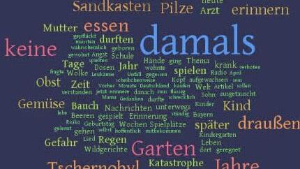 Die Wortwolke zeigt, welche Begriffe beim Thema Tschernobyl in unserer Facebook-Community besonders häufig verwendet wurden.Tagcloud: WordItOut