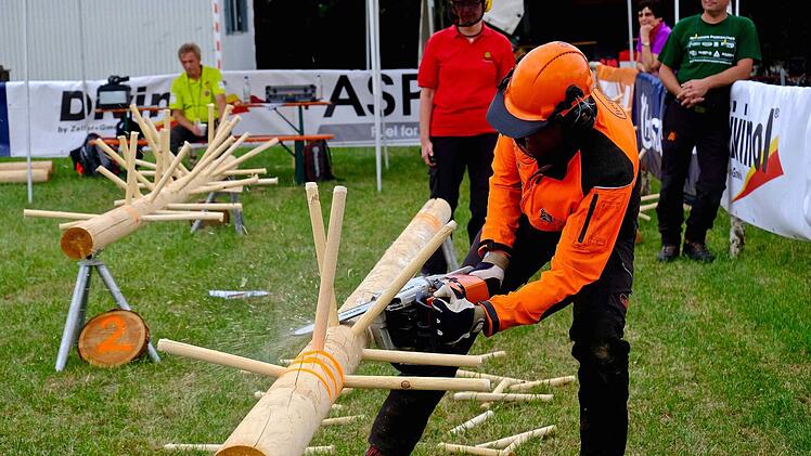 Es war viel geboten zu den Themen Holz und Wald. Foto: Gerd Schaar