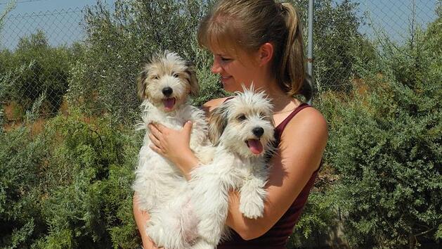 Katharina Hofbauer kann überhaupt nicht verstehen, warum ihre Hundeschule während des Lockdowns geschlossen bleiben muss. privat