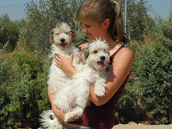 Katharina Hofbauer kann &uuml;berhaupt nicht verstehen, warum ihre Hundeschule w&auml;hrend des Lockdowns geschlossen bleiben muss. privat