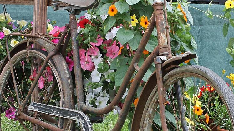 Auch ein altes, verrostetes Fahrrad kann zur Garten-Dekoration werden.Foto: Janina Reuter