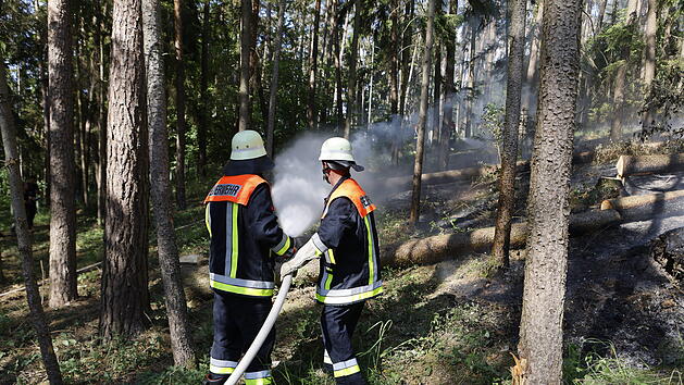 Dichte Rauchwolke &uuml;ber Waldgebiet: 11000 Quadratmeter Waldboden in Brand