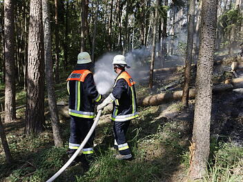 Dichte Rauchwolke über Waldgebiet: 11000 Quadratmeter Waldboden in Brand