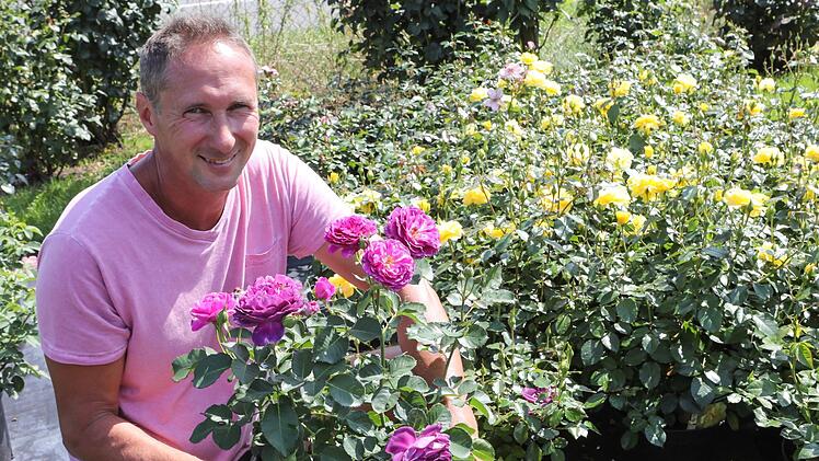 Günter Beihl ist ein Fachmann, wenn es um Rosen geht. Bei der Rosenmesse in Kronach wird er über seine Lieblingspflanzen informieren. Foto: Barbara Herbst