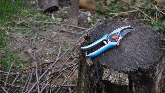 F&uuml;r den Obstbaum- und Geh&ouml;lzschnitt ist vor allem eine scharfe und saubere Gartenschere wichtig. Bild: perianjs/ pixabay.com