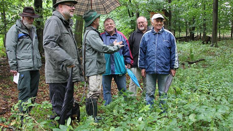 Die vielen Brombeer-Sträucher bereiten den Förstern Sorge
