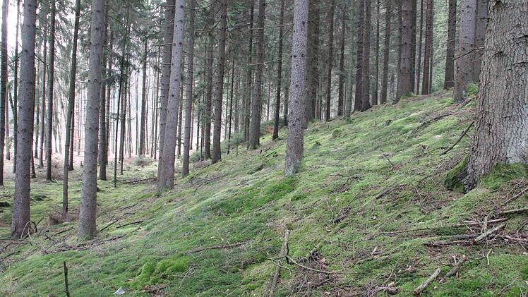 Der Felsblock erhebt sich vier bis fünf Meter hoch.  Foto: Friedwald Schedel