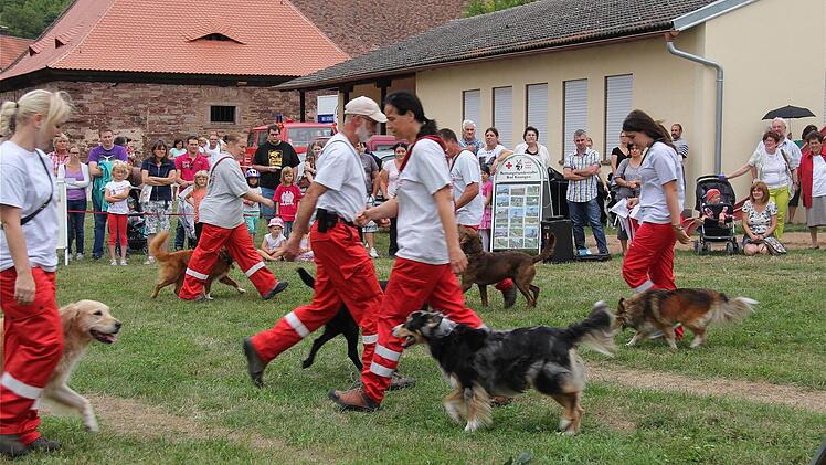 Vorführungen der Rettungshundestaffel.