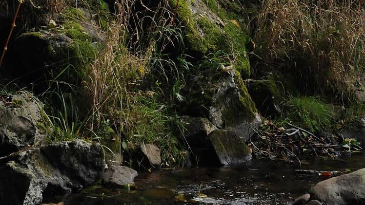 Ein Kick in der Idylle. Trockenen Fußes erreichte unser Fotograf das U-15-Spiel in Oberbach zwischen der JFG Sinntal/Schondratal II und dem FC Fuchsstadt. Foto: ssp
