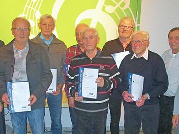 Vorsitzender Engelbert Roith und Stellvertreter Georg Väth (von links) sowie Vize-Bürgermeisterin Rita Schaupp (rechts) verliehen die Treuenadel an (von links) Werner Halbritter, Erwin Bock, Artur Wüscher, Werner Kümmert, Peter Uebel (in Vertretung), Josef Kippes und Bernhard Rosenheimer. Roith wurde ebenfalls geehrt: Für herausragende Verdienste und 20 Jahre Mitgliedschaft im VdK.  Foto: Winfried Ehling