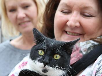 Emilio ist zurück bei Frauchen Monika Franke und HGF-Hausmeisterin Marion Schröter. Foto: Barbara Herbst