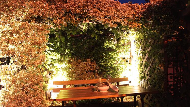 Der beleuchtete Garten der Familie Eichner aus Harsdorf. Foto: Jürgen Gärtner