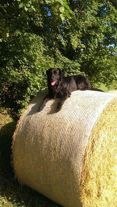 Foto: Peggy Maas
