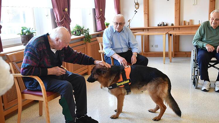 Therapiehund Aramis bei den Senioren im Kulmbacher WohnstiftFoto: Ronald Rinklef