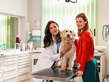 Die Erstversorgung der Hündin Tessa wird für die Tierärztinnen Maja Freydank (Bettina Zimmermann, links) und Julia Kramer (Meriel Hinsching) zum Vorstellungsgespräch mit hohem Praxisanteil.