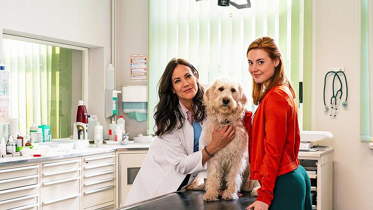 Die Erstversorgung der Hündin Tessa wird für die Tierärztinnen Maja Freydank (Bettina Zimmermann, links) und Julia Kramer (Meriel Hinsching) zum Vorstellungsgespräch mit hohem Praxisanteil.