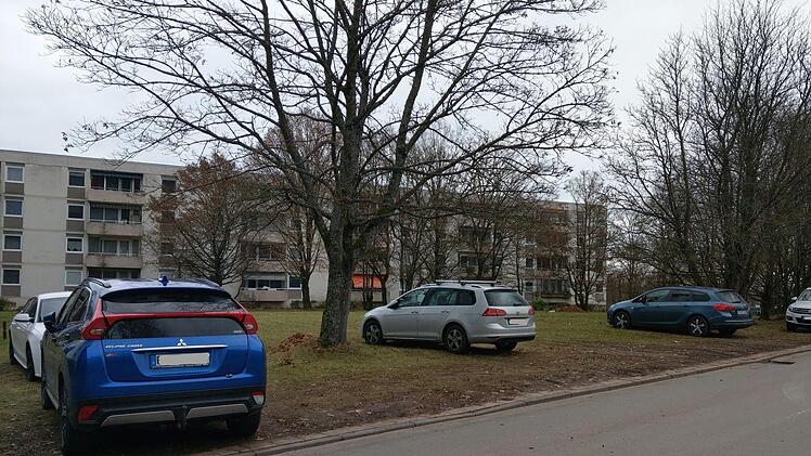 Pro Wohnung ein Stellplatz - das reicht längst nicht mehr. DIe Autos stehen auch auf den Rasenflächen im Heimatring. Foto: SImone Bastian
