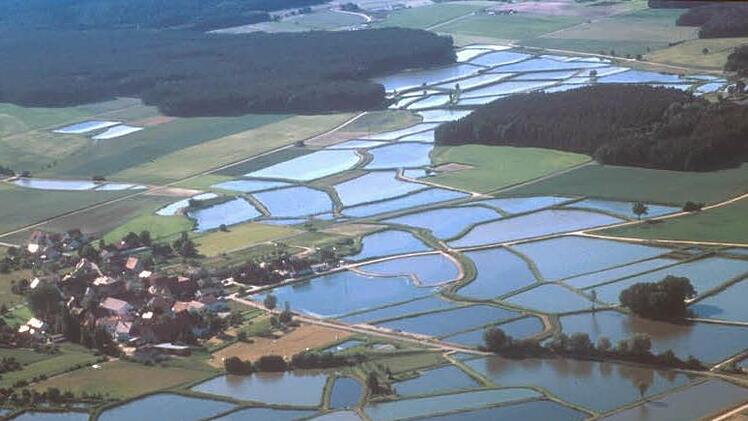 Seit 2015 ist die Gemeinde Hallerndorf Mitglied im Verein Karpfenland Aischgrund e.V.. Dieser Verein hat jetzt ein Förderprojekt initiiert und will die Kultur der Teichwirtschaft mit ihren Karpfen auch für den Tourismus attraktiver machen. Hallerndorf macht nicht mit.Launert, Archiv