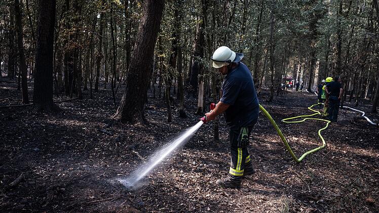 Waldbrand im H&uuml;rtgenwald