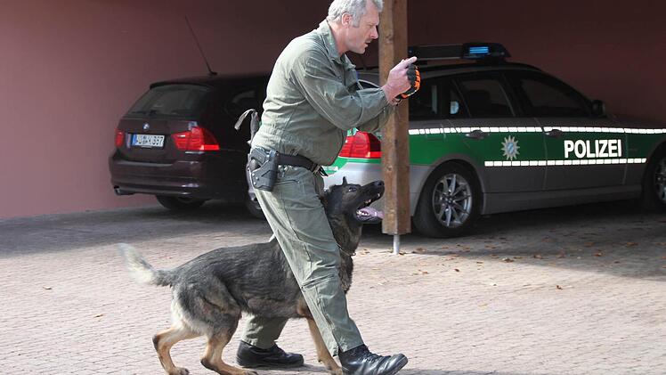 Gerome ist auf Rauschgift spezialisiert. Sein Herrchen hat als Übung eine kleine Dosis versteckt.
